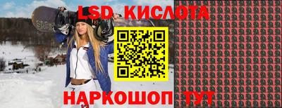 молекула духа Берёзовский